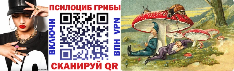 Псилоцибиновые грибы прущие грибы  Купить  Ногинск 